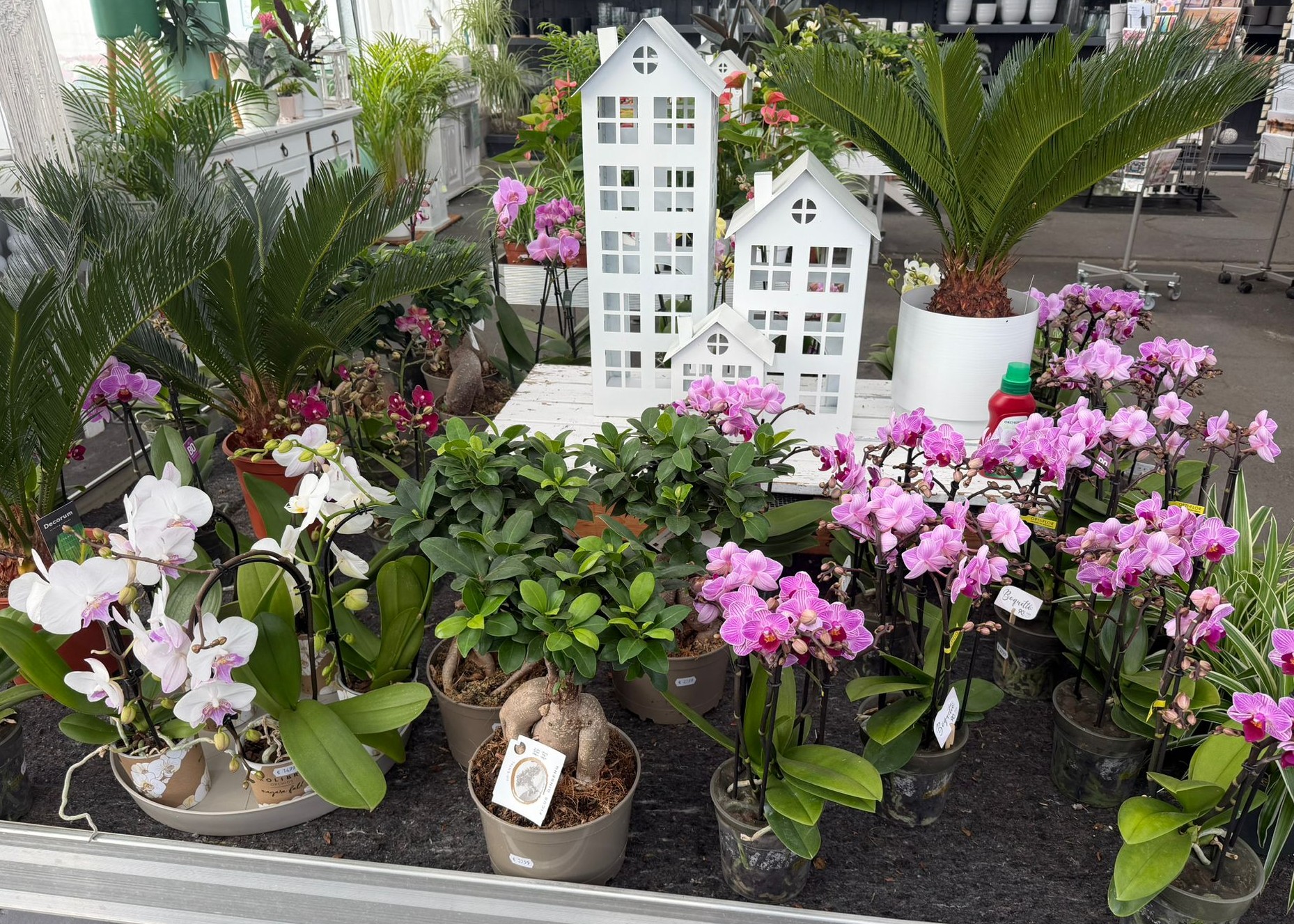 Monheimer Blumenmarkt